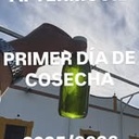 AOVE PREMIUM QUEO - VARIEDAD ARBEQUINA SELECCIÓN 250 ml caja 12 uds (8,50 €/ud.)